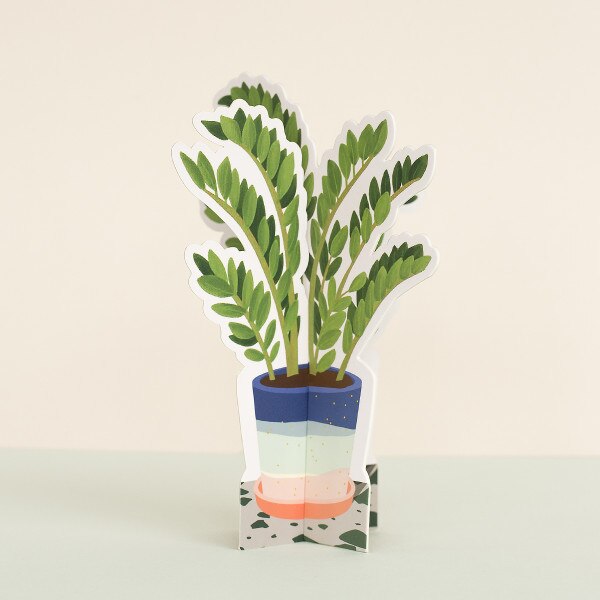 ZZ Paper Plant